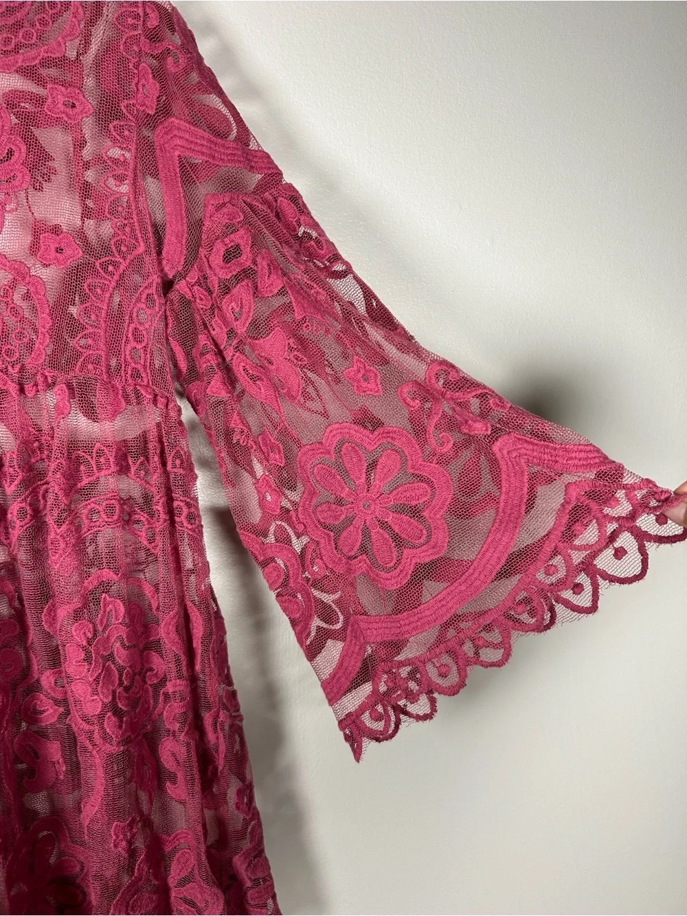 Jens Pirate Booty for Free People Berry Lace Sheer Lace Tunic Dress Overlay